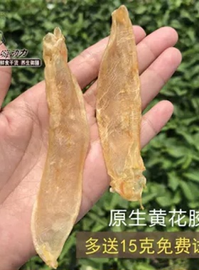 嗨动力咸水黄花胶佐罗鱼胶胶原深海野生鱼肚干货正品扁状甲肚250g
