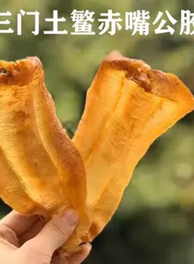 嗨动力本港野生土鳘公肚深海赤嘴鳘鱼胶孕妇月子滋补花胶干货正品