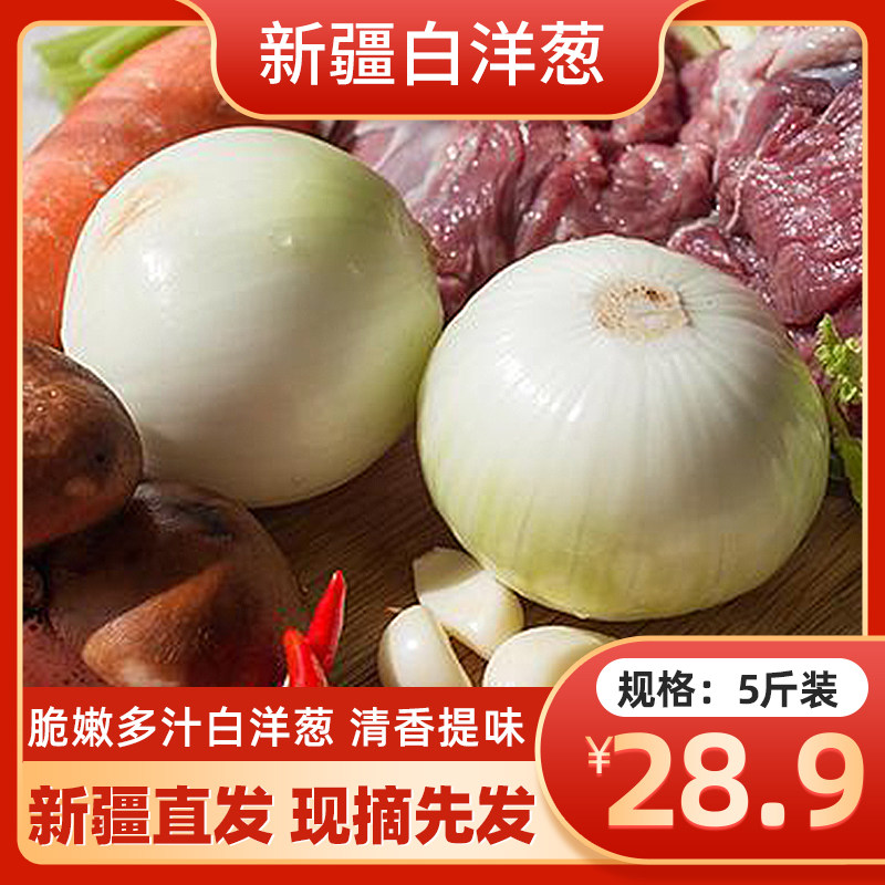 新疆白洋葱圆皮牙子新鲜洋葱头生吃不辣蔬菜凉拌农家自种蔬菜种子