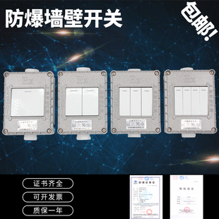 防爆开关防爆墙壁开关220V10A单开双开双控翘板开关20A380V暗装