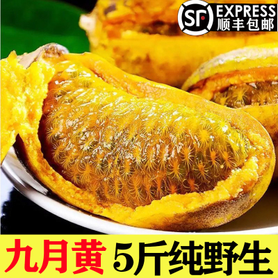 九月黄当季水果野生牛卵坨八月瓜