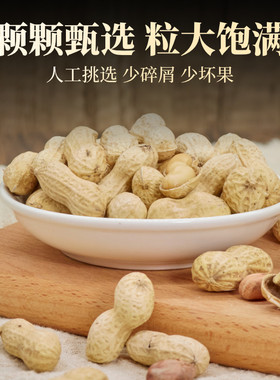 核桃味花生东北小花生森林大叔