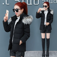 Áo khoác ngắn nữ mùa đông 2019 mùa đông mới dày áo xuống bông nhỏ áo khoác cotton phiên bản Hàn Quốc của mùa đông cotton hoang dã - Bông áo khoác kaki nam lót lông cừu