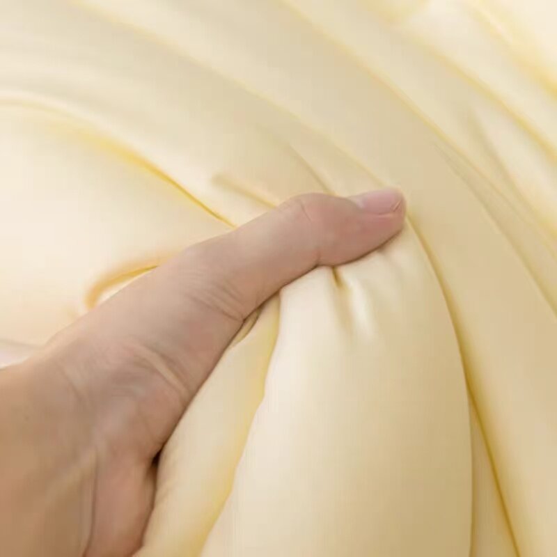 玉米抗菌双人加厚保暖特价被子清