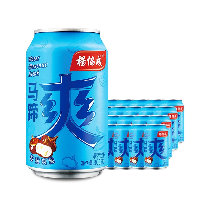 杨协成马蹄爽 果汁荸荠果肉300mlx24罐装整箱 水果味饮料新货包邮