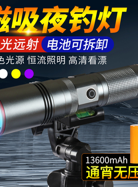 磁吸夜钓灯钓鱼灯蓝激光野钓大功率夜光炮新款神器钓箱专用台钓灯