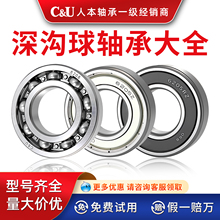 人本轴承正品16002高速16003 16004 16005 16006 16007 16008 2Z