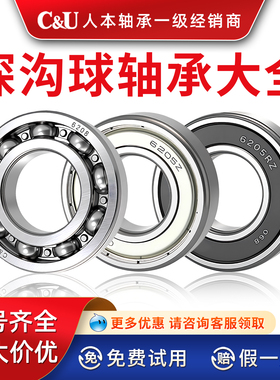 6309高速6308人本6301轴承6300ETK6302 6303 6304 6305 6306 6307