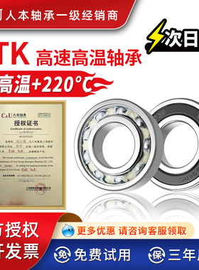 ETK大全人本轴承6204耐高温6205高速6307电机6306 6203 6308 6206