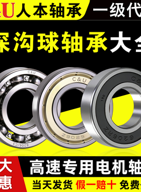 6001人本轴承6000高速6002高温6003 6004 6005 6006 6007 6008ETK