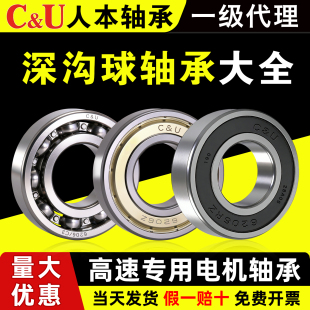 6007 6001人本轴承6000高速6002高温6003 6006 6005 6008ETK 6004