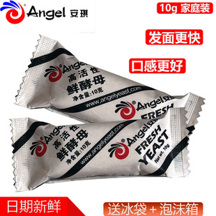 安琪鲜酵母块家用小块酵母10g高活性低糖即发新鲜酵母粉湿酵母块