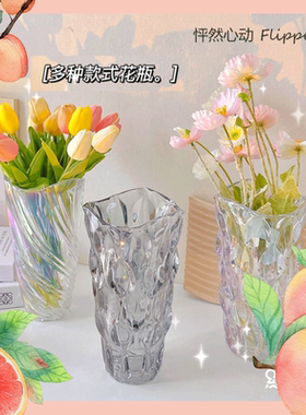 欧式玻璃花瓶透明桌面富贵竹