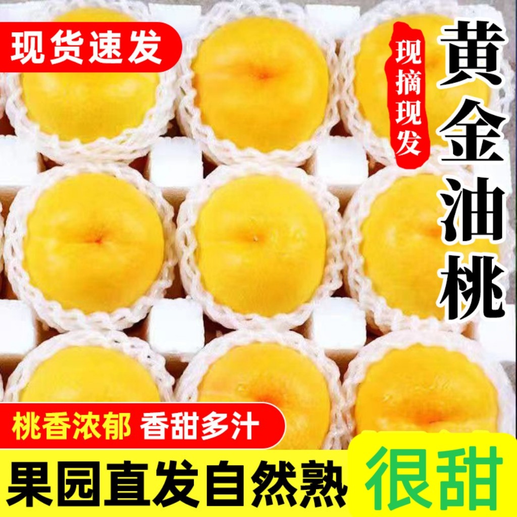 现摘黄金油桃黄心蜜桃子新鲜纯甜桃
