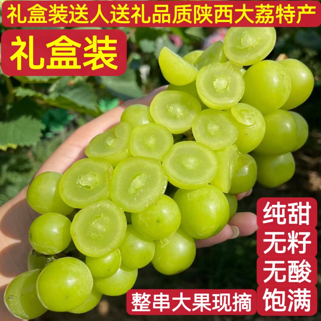 陕西渭南大荔葡萄阳光玫瑰青提纯葡萄/提子