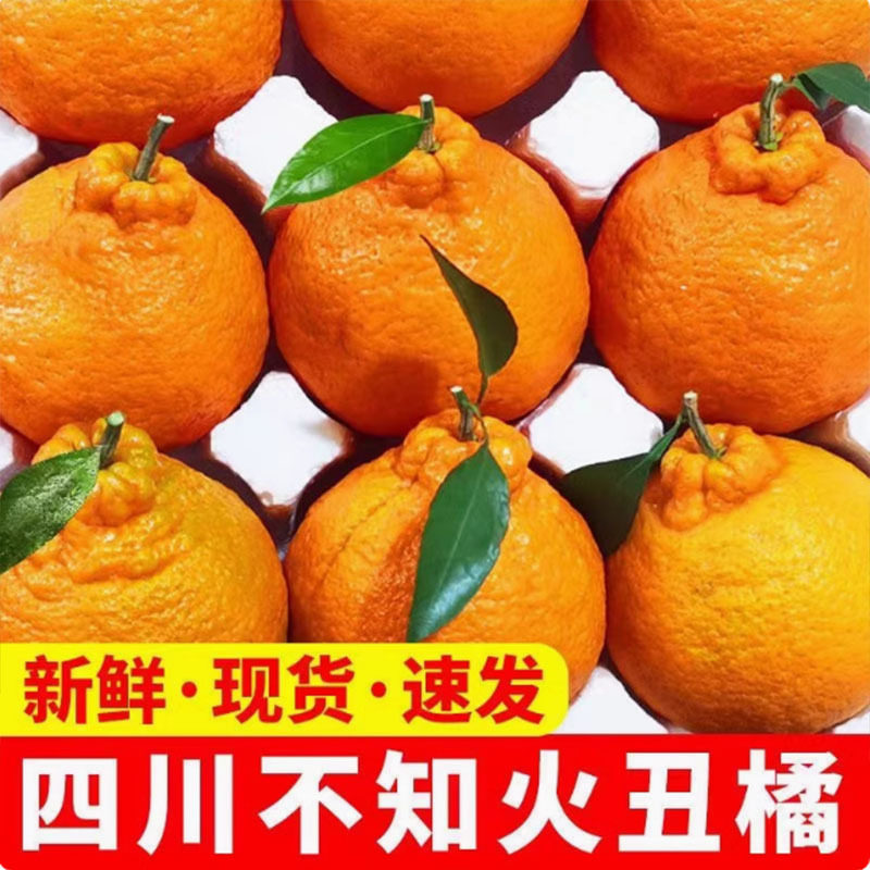 四川新鲜丑橘金桔橘子耙耙柑爆甜时令应季水果新摘整箱大果包邮8J,水产肉类/新鲜蔬果/熟食,桔子,淘宝优惠券,粉丝福利购,淘宝优惠卷