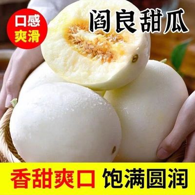 陕西正宗阎良甜瓜新鲜头茬当季水果白皮香蜜瓜现摘甜瓜