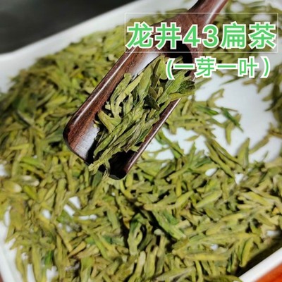 侗茶早春头采龙井43豆香