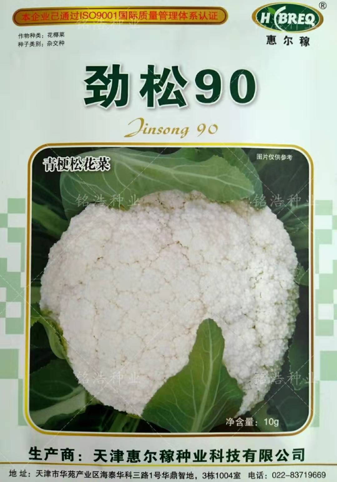 青梗松花菜种子高产花菜籽花椰菜春秋季蔬菜孑农家大面积用劲松90