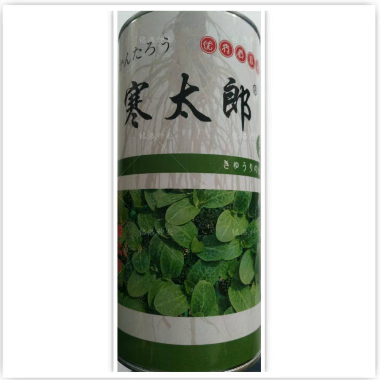 嫁接黄瓜砧木种子白南瓜籽根系强黄瓜嫁接专用高产砧木包邮寒太郎