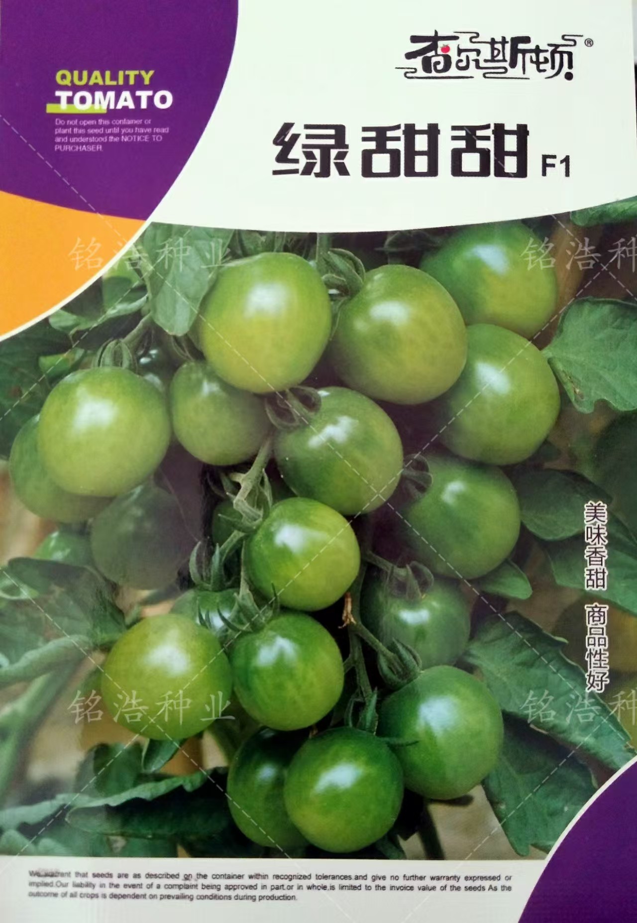 绿色小番茄种子早熟樱桃小西红柿圣女果种籽杂交番茄口感好绿甜甜