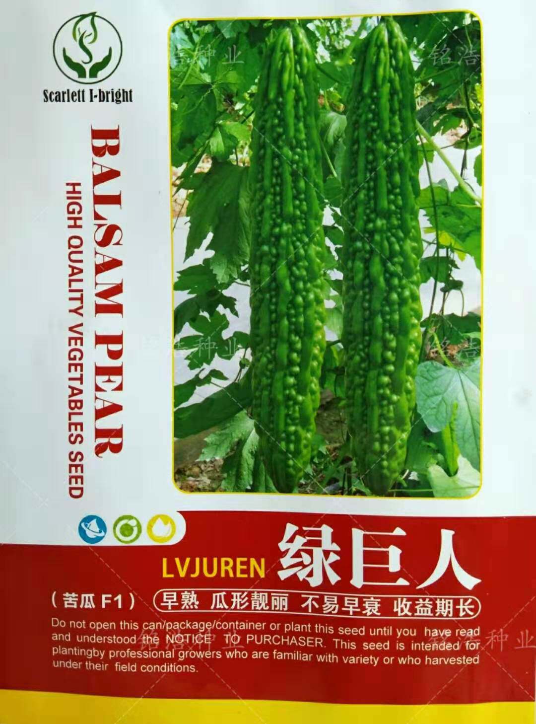 高产蔬菜种子籽四季耐热耐低温弱光刺瘤丰满抗病早熟苦瓜孑绿巨人