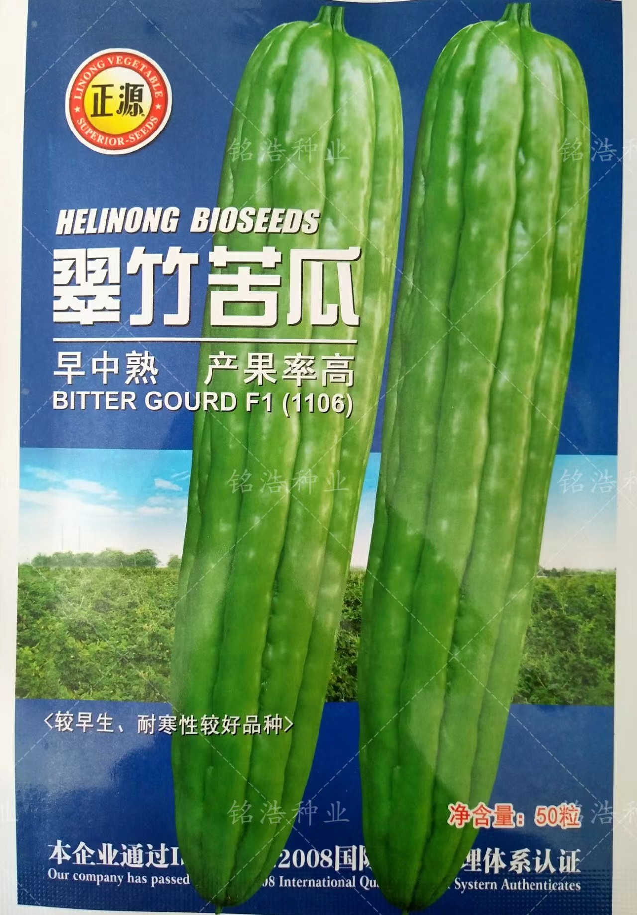 翠竹苦瓜种子春夏秋季播