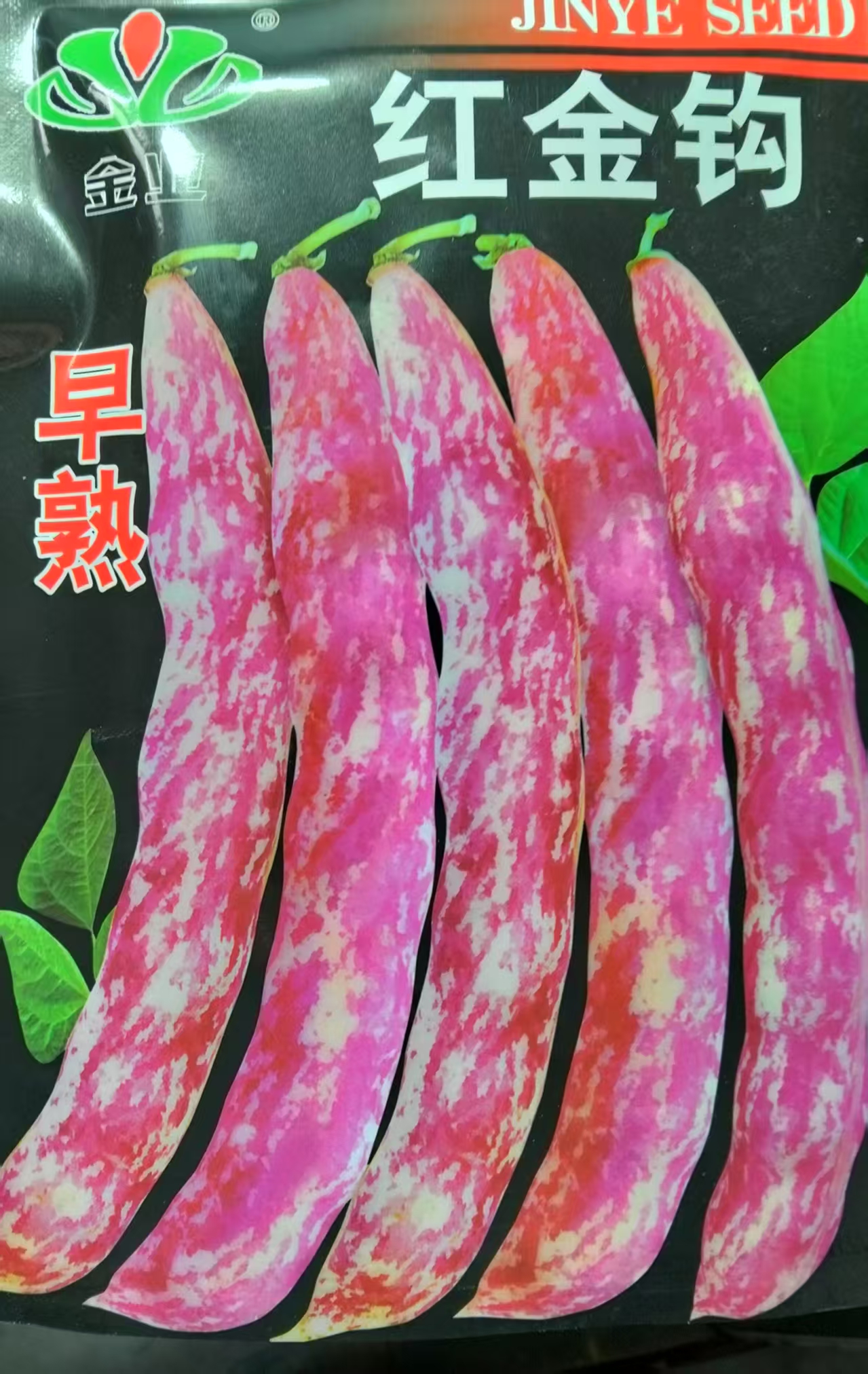 东北黄金勾红金钩豆角架豆种子高产油豆角芸豆籽沟扁豆春季蔬菜孑