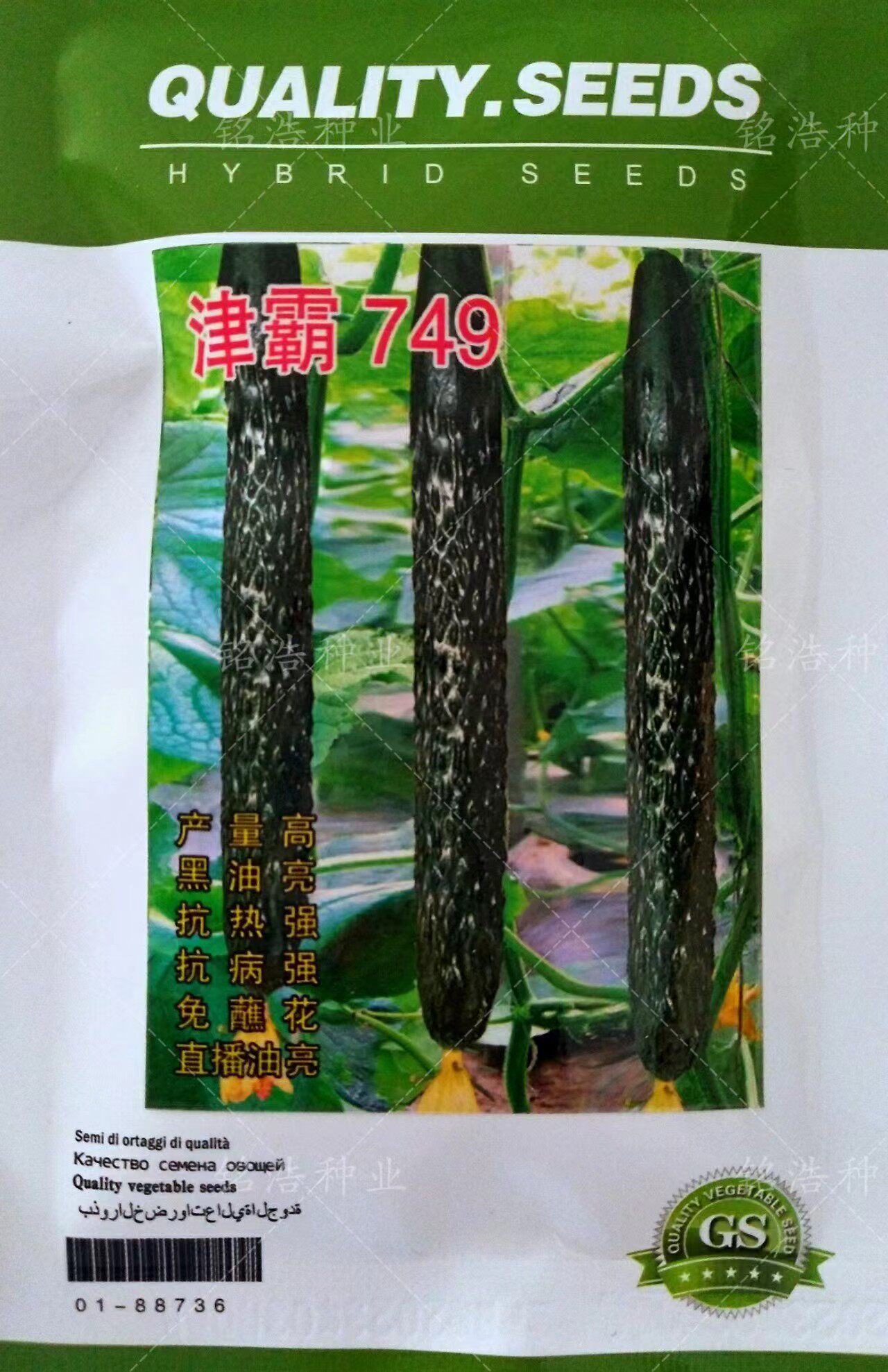 津霸749高产短把瓜条顺直耐热
