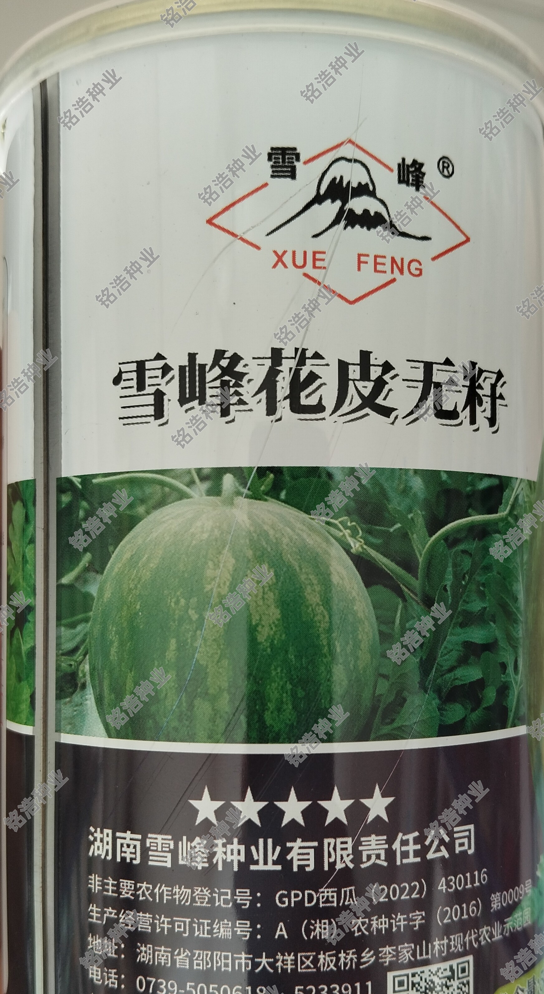 农家大田春夏季播种西瓜种子