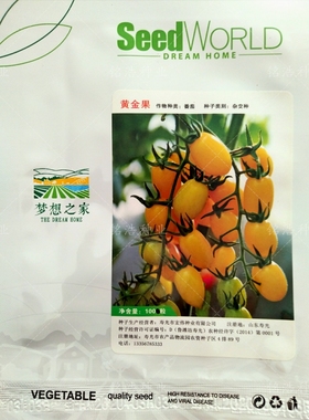 橙黄色桃型小番茄种子特色番茄籽口感好糖度高抗病春秋冬季黄金果