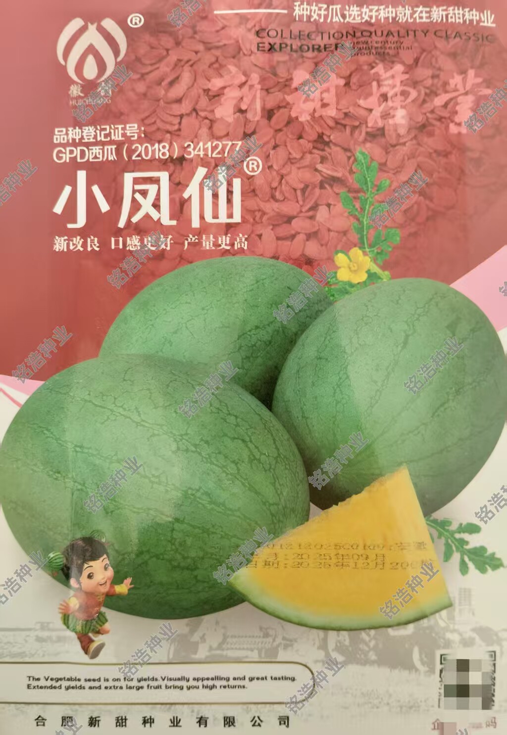 小型花皮黄瓤西瓜种子早熟水果超甜种籽农家基地春季瓜种孑小凤仙