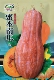 杂交蜜本南瓜种子高产超好吃超甜特面肉厚细腻春秋季 播种蔬菜种籽