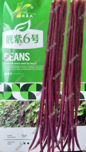 特长紫条豇豆种子高产蔬菜籽春夏秋季播种农家红豆角子籽靓紫6号