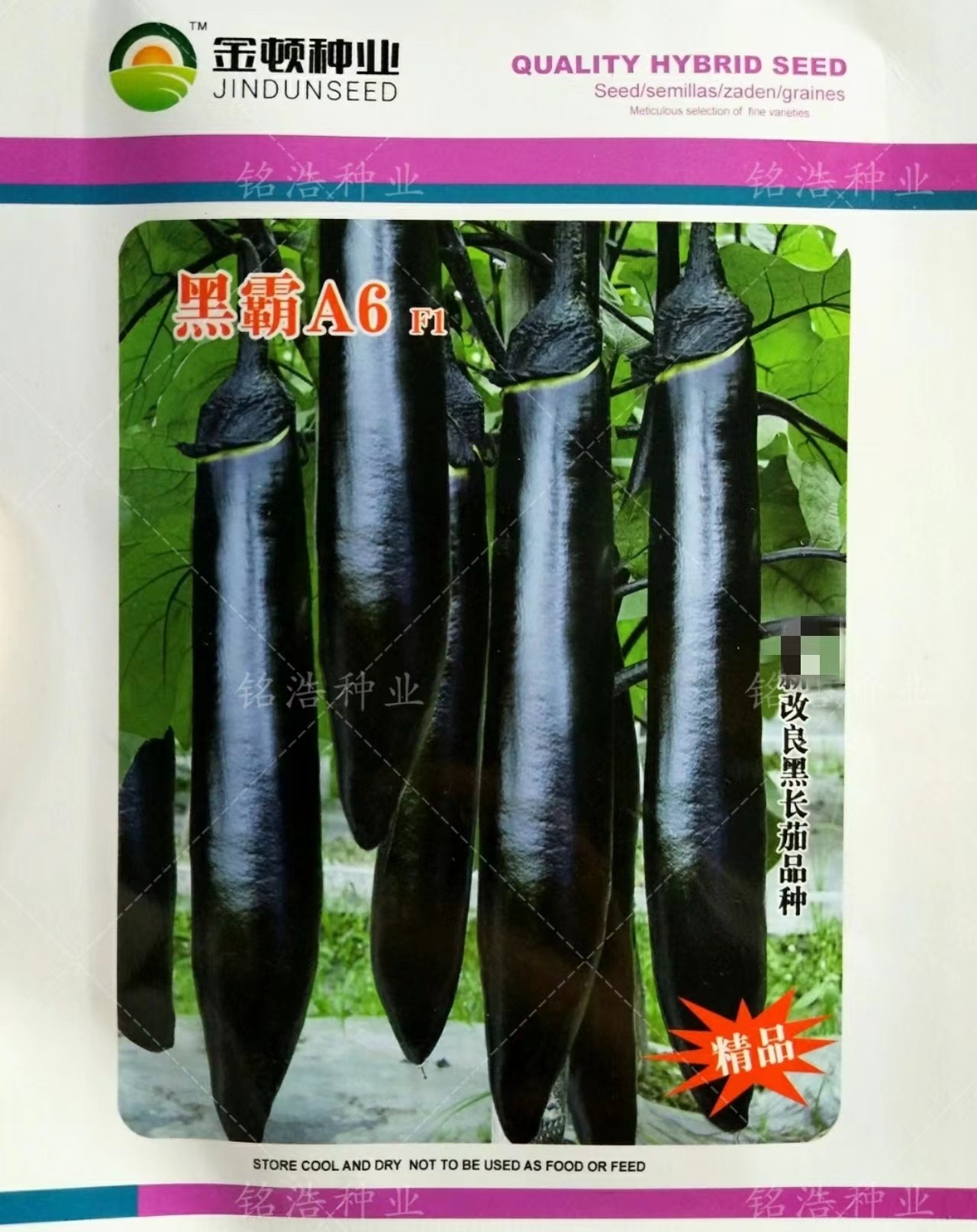 改良紫把长茄蔬菜种孑种籽春季秋冬四季茄子种子籽顺直特大黑霸A6