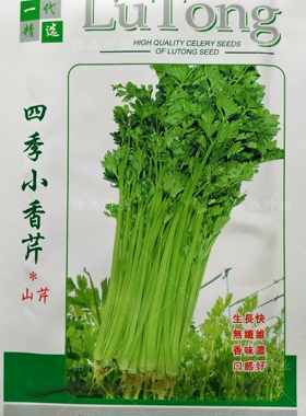 四季小香芹种子山芹纤维少黄绿色春秋季播大田盆栽菜阳台蔬菜孑籽