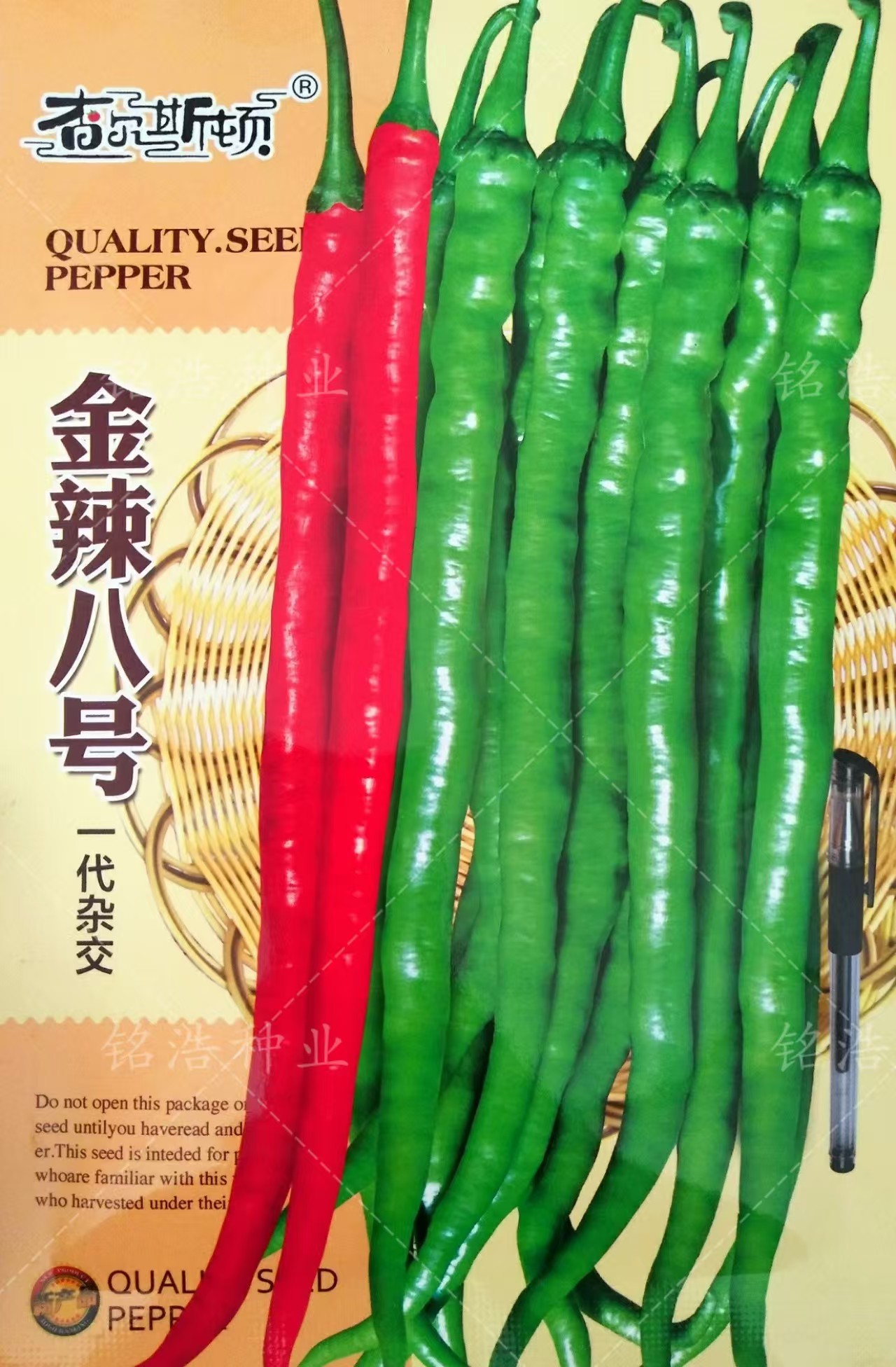 绿皮线椒种子高产超辣抗病w
