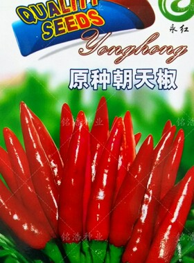 簇生朝天椒种子特辣香小红小米辣椒早熟高产抗病春夏播种蔬菜种籽