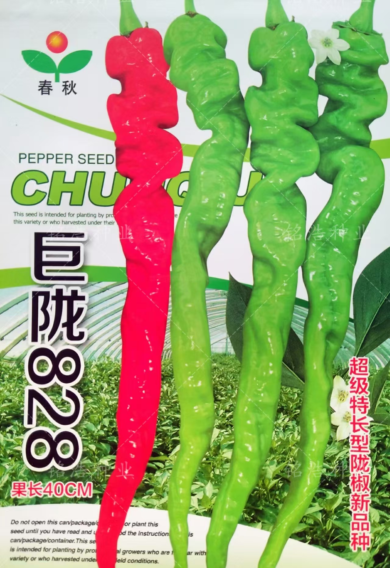 花皮红瓤杂交西瓜种子抗病强耐裂