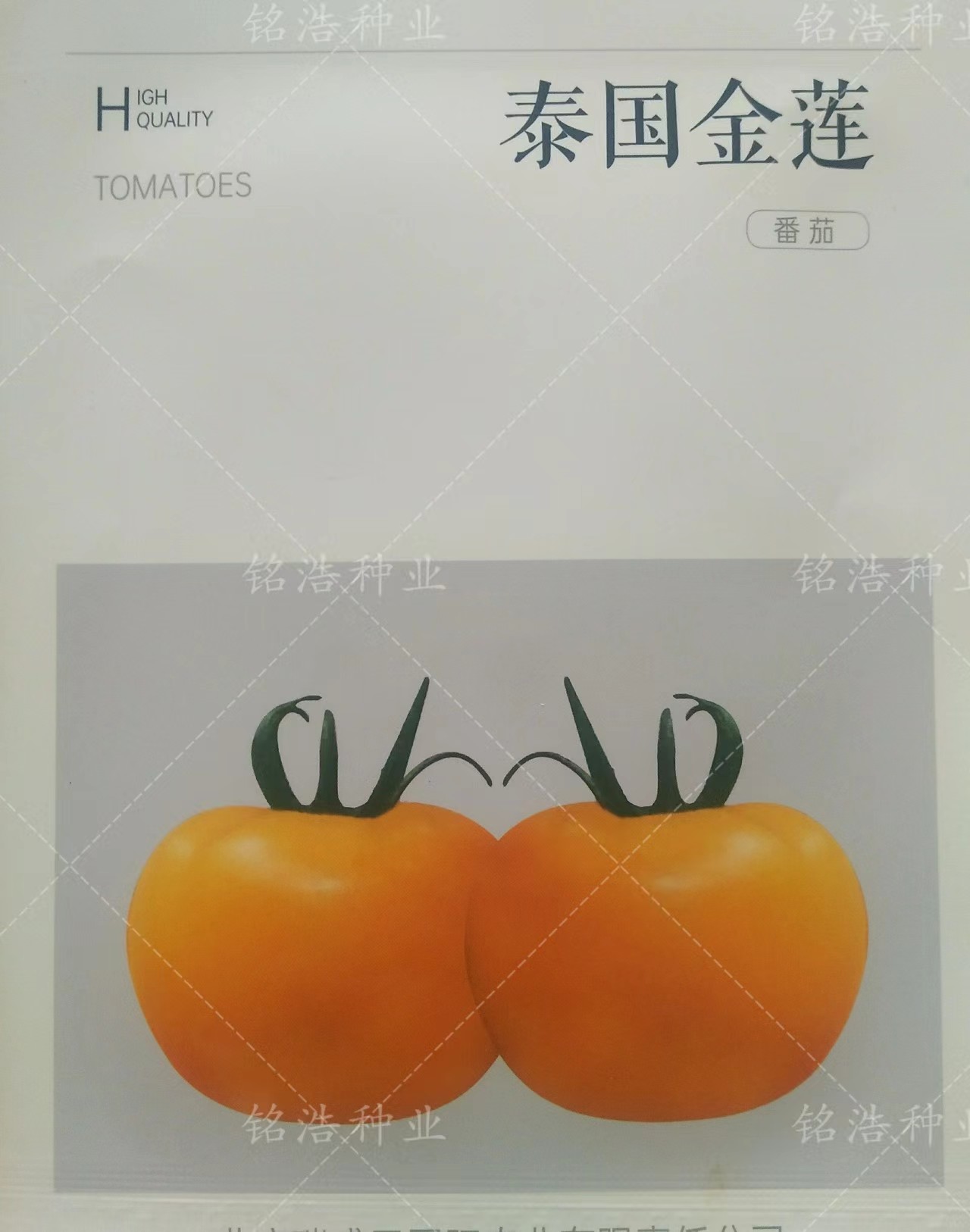无限生长圆形春秋早春播大黄番茄籽高产金黄色西红柿种子泰国金莲
