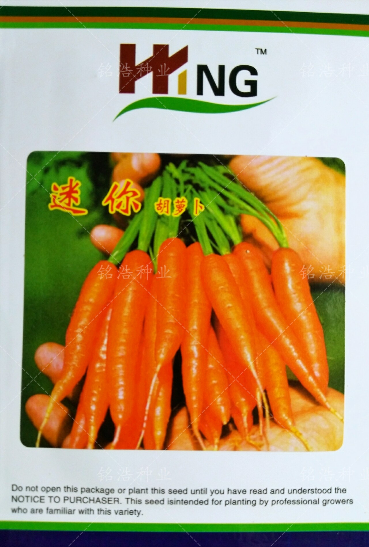 杂交迷你胡萝卜种子小手指拇指萝卜种籽甜脆水果盆栽四季蔬菜孑籽