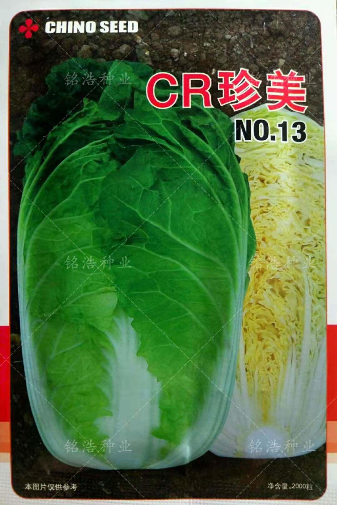 夏秋播早熟高产抗病耐热耐湿白菜种子黄心大田基地专用蔬菜籽珍美