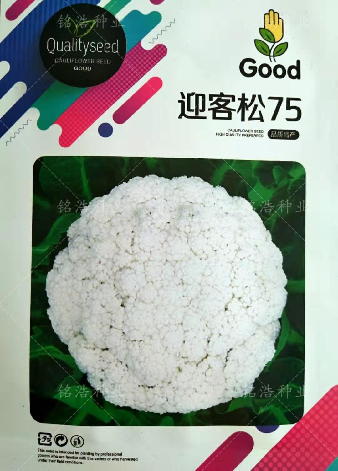 青梗松花菜种子高产花菜籽花椰菜春秋季蔬菜孑农家大面积迎客松75