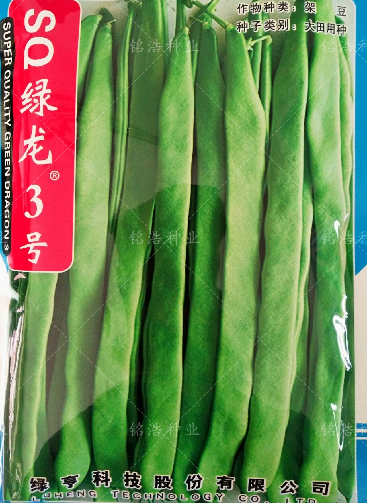 sq绿龙3号早熟扁豆种子四季豆扁条架芸豆菜豆早熟3扁春秋季蔬菜籽