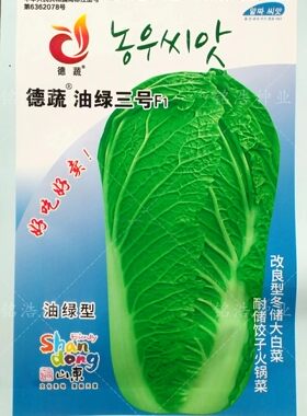 抗病外叶深绿秋季甜脆柔嫩