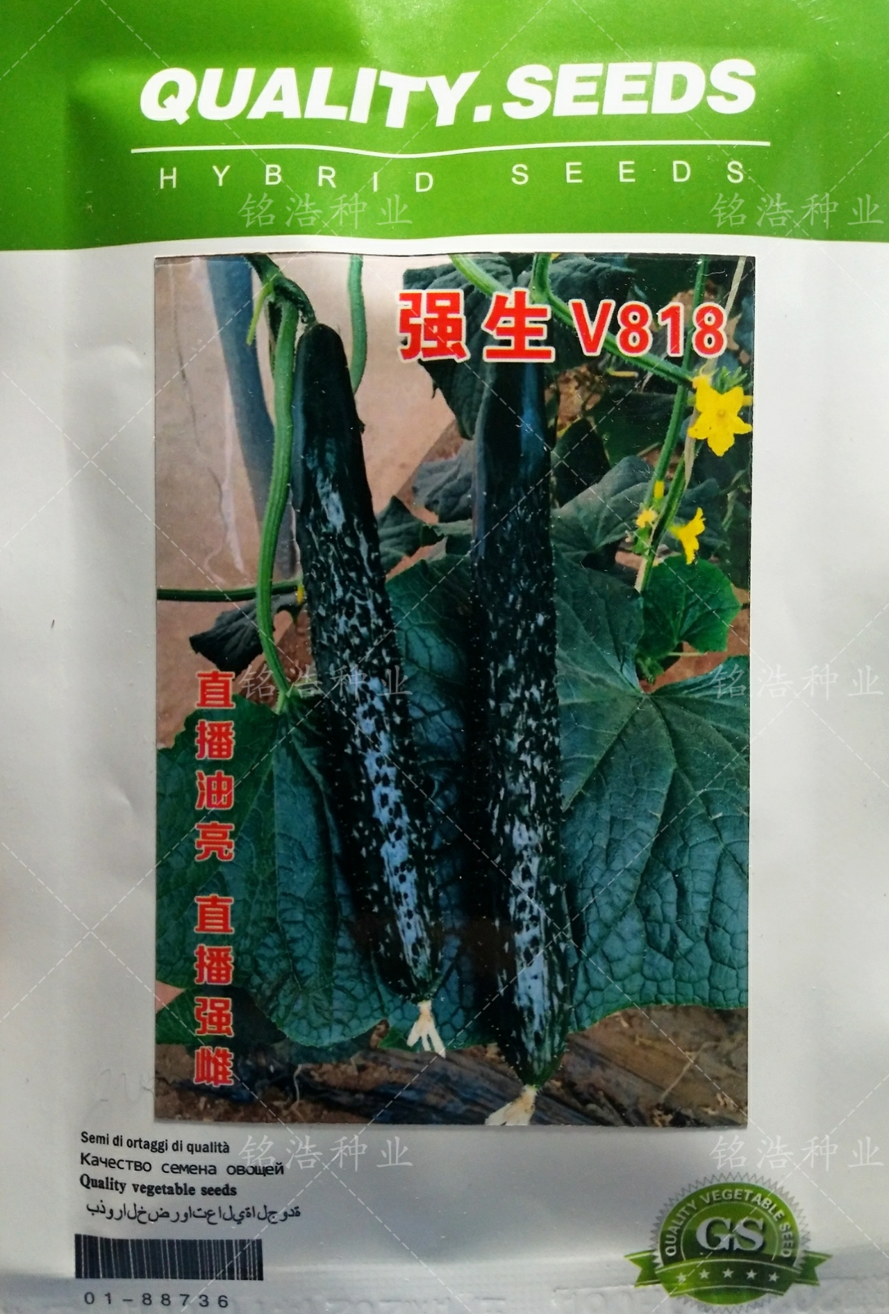 強生V818直播也黑油亮耐熱耐濕