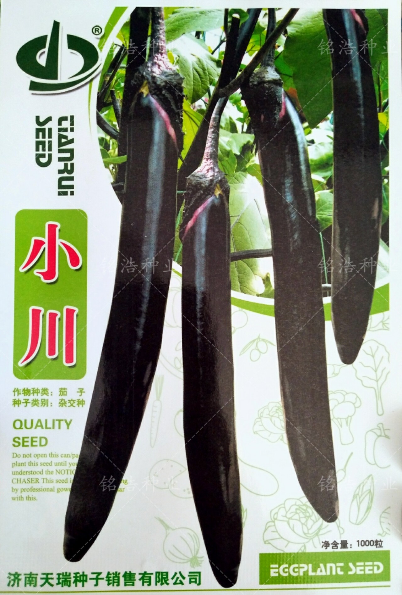 细长茄种子大面积种植线茄高产黝黑亮丽采收期长杂交种蔬菜籽小川
