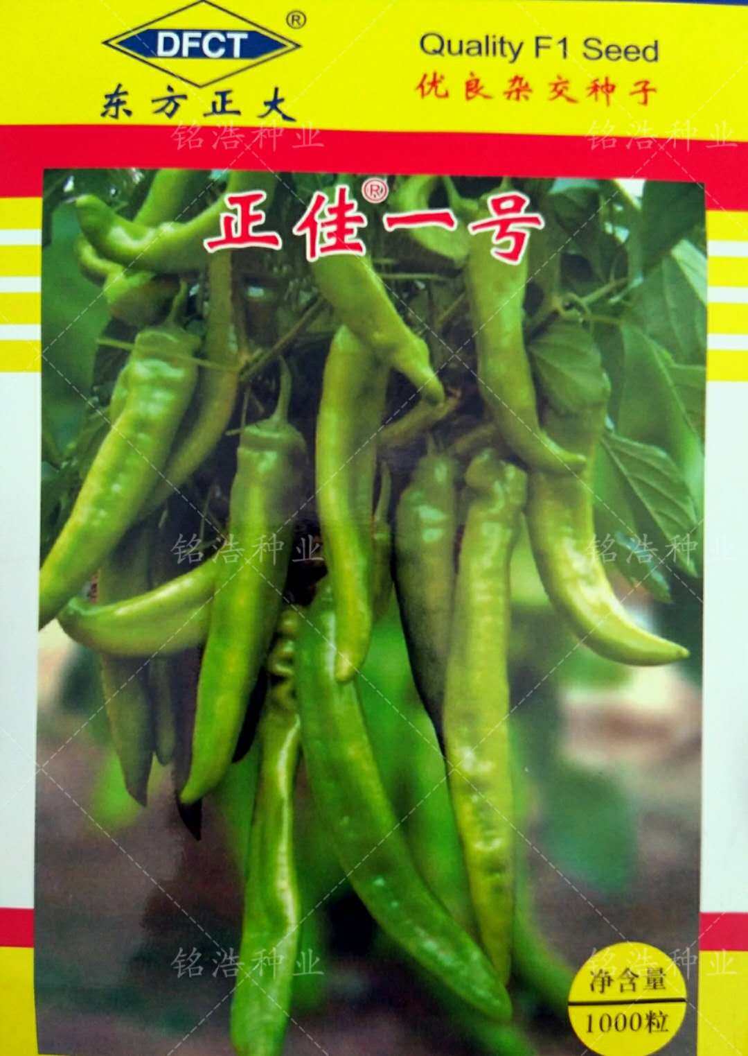 正佳一号高产羊角椒辣椒种子尖椒籽早熟微辣农家四季春季蔬菜种孑
