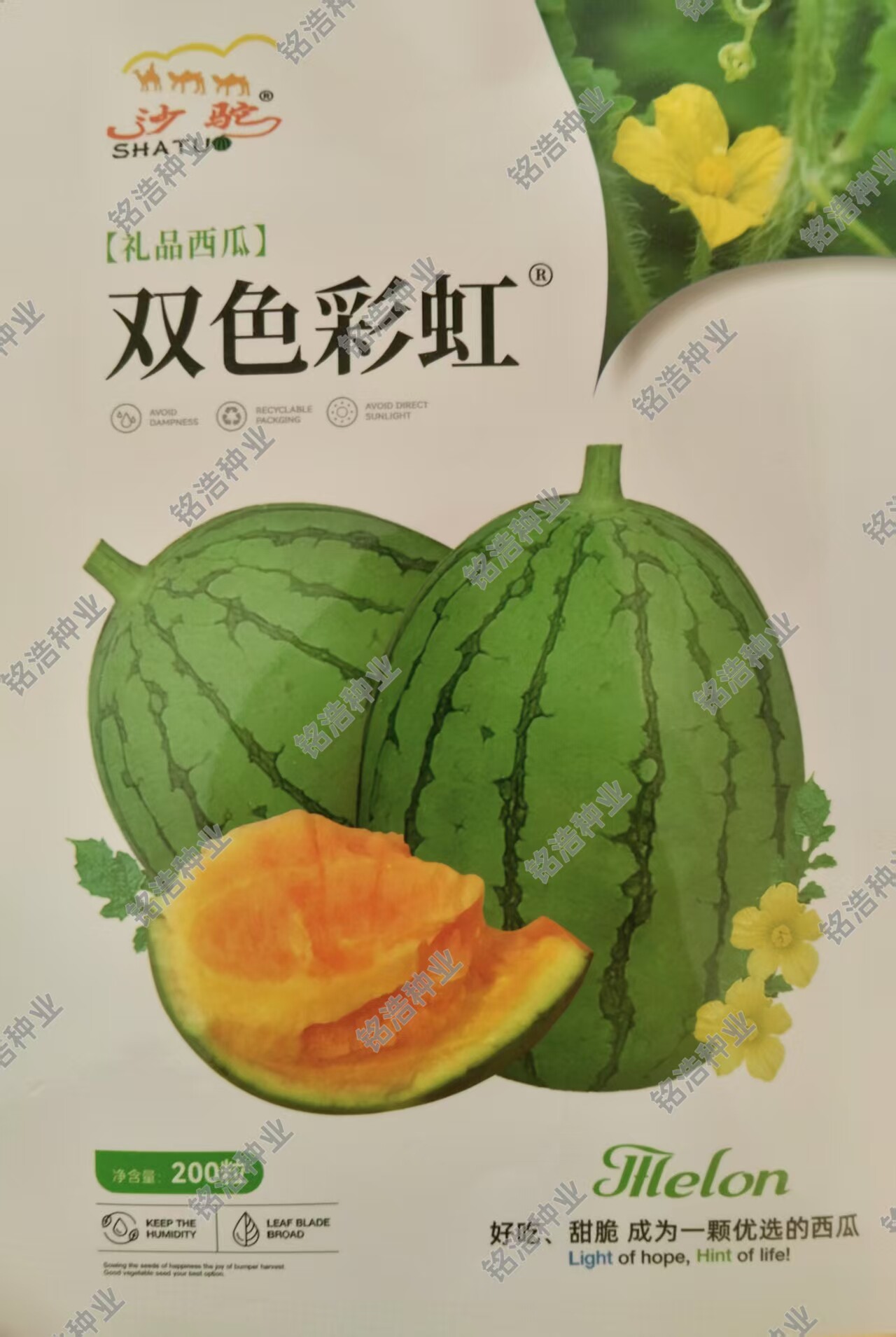 花皮黄瓤西瓜种子高产春夏季大棚露天播超甜水果瓜果种籽双色彩虹