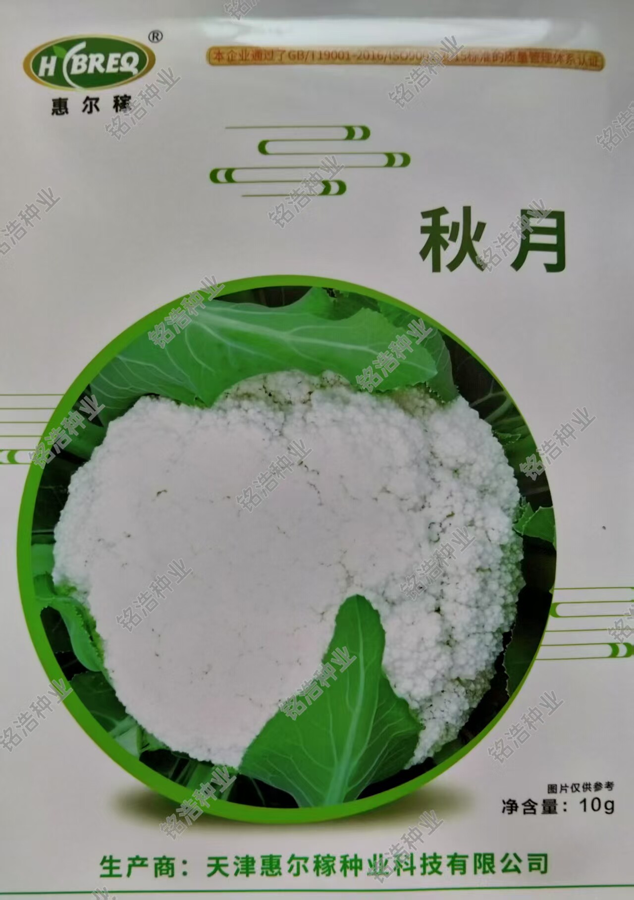 松花菜种子籽抗晒免盖球青梗高产花椰菜小粒65天秋季播蔬菜孑秋月